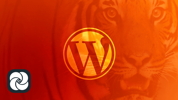 Станьте разработчиком WordPress: Раскройте мощь с помощью кода Станьте разработчиком WordPress: Раскройте мощь с помощью кода