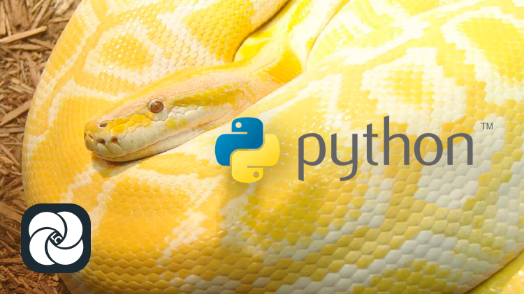 Полное руководство по Python 3: от новичка до специалиста Полное руководство по Python 3: от новичка до специалиста