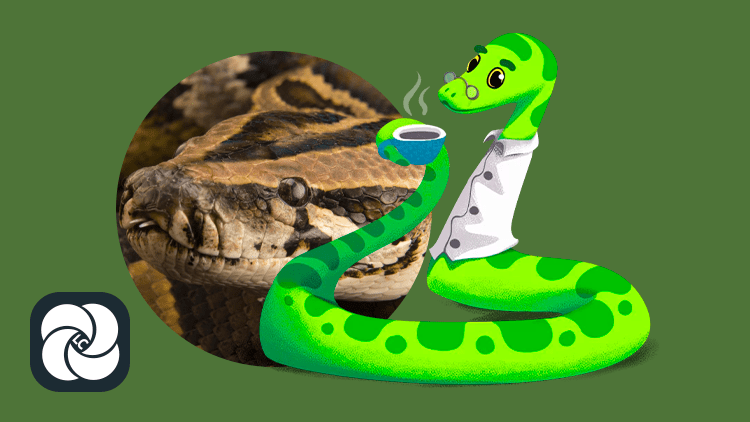 Python: Работа с API и фреймворками Python: Работа с API и фреймворками